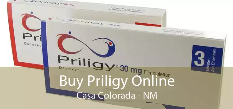 Buy Priligy Online Casa Colorada - NM