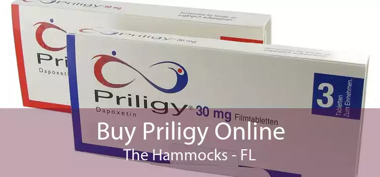 Buy Priligy Online The Hammocks - FL